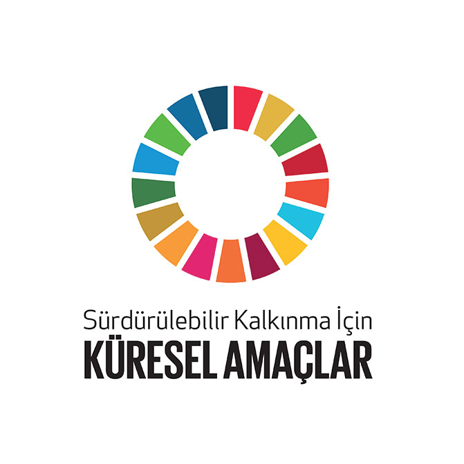 Küresel Amaçlar Temel Logo